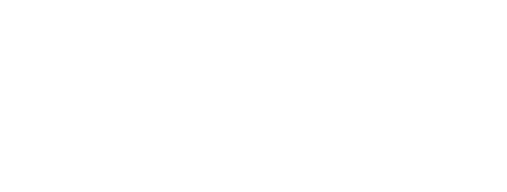 Universidade da Beira Interior